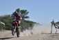 2017-Dakar-Rally-Stage-2-Honda-14