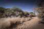 2017-Dakar-Rally-Stage-2-KTM-03