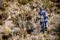 2017-Dakar-Rally-Stage-4-Yamaha-Racing-01