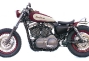 deus-ex-machina-new-blood-sportster-12