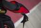 Ducati-1299-Panigale-detail-05