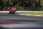 Ducati-1299-Panigale-track-action-27