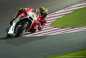 Friday-Losail-MotoGP-Grand-Prix-of-Qatar-Tony-Goldsmith-1099.jpg