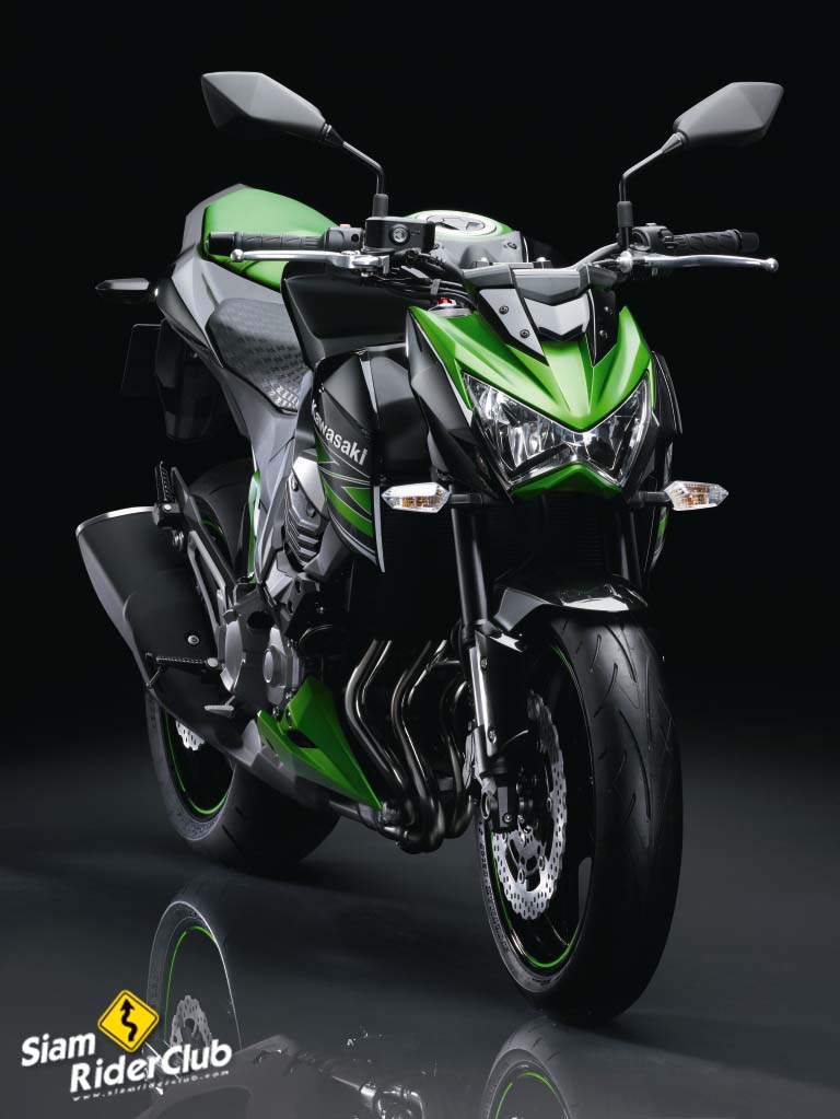 Officially Official 2013 Kawasaki  Z800  Asphalt Rubber