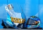 rizla-suzuki-micron-livery-1