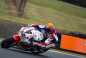 World-Superbike-Phillip-Island-test-Steve-English-67